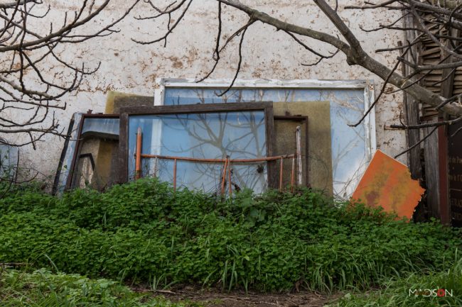 ©Madison Estudio, reportaje fotográfico, finca Jumayu, Campo,