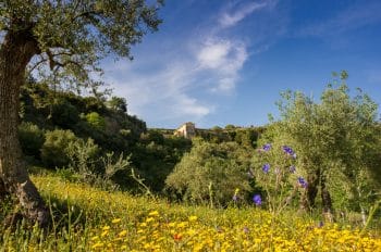 ©Madison Estudio, fotógrafo profesional reportaje fotografía, fotografía profesional , Cultura, Marbella,fotografía profesional marbella,fotógrafo profesional málaga, fotógrafo profesional costa del sol, Fotógrafo profesional Estepona, fotografía profesional España, PHOTOGRAPHER PROFESSIONAL SPAIN ,fotografía profesional costa del sol, Professional Photographer Marbella ,fotógrafo profesional eventos, Fotografía interiores,Arquitectura , fotografío profesional málaga , fotógrafo profesional Gibraltar, fotógrafo bodas, Fotografía productos, descalzos viejos vendimia